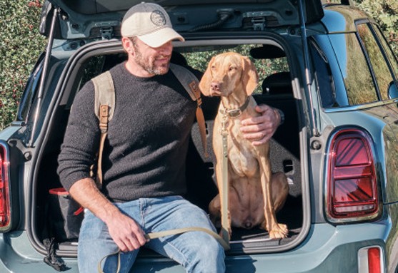 Dog sitting in a MINI